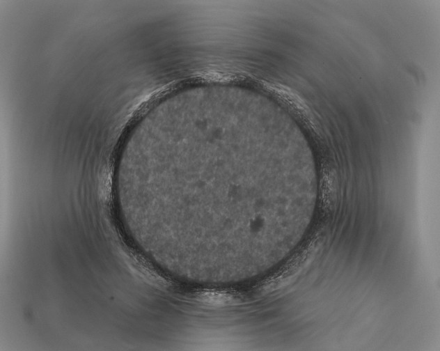 X0000112430596200909251538
