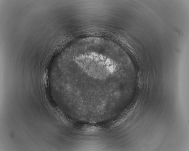 X0000112430597200909251538