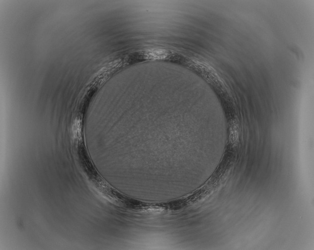X0000112430598200909251538