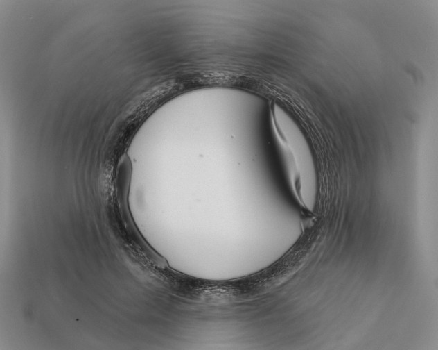 X0000112430599200909251538