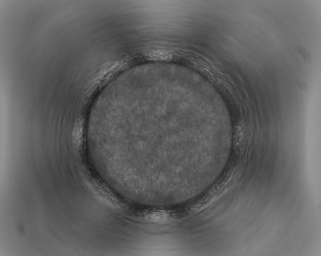 X0000112430600200909251538