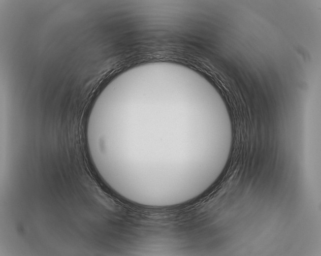 X0000112430601200909251538