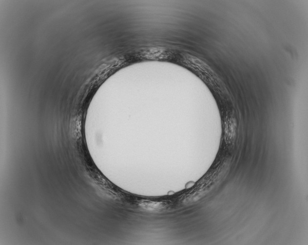 X0000112430602200909251538