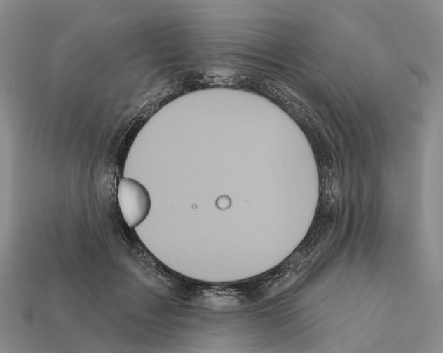 X0000112430603200909251538