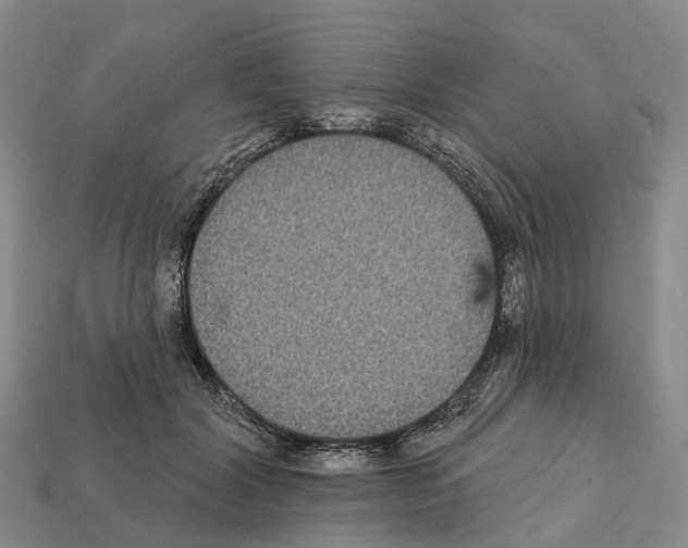 X0000112430604200909251538