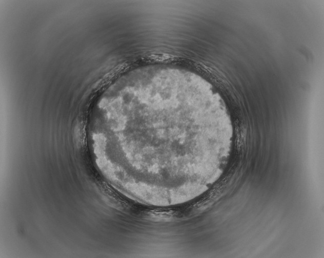 X0000112430606200909251538