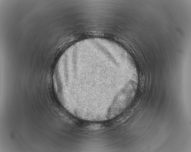 X0000112430609200909251538