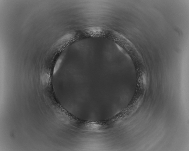 X0000112430610200909251538