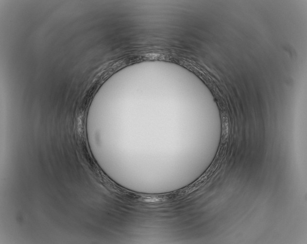 X0000112430611200909251538