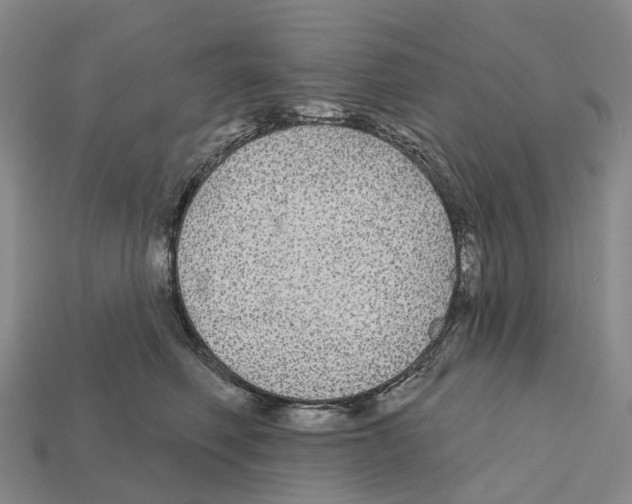 X0000112430614200909251538