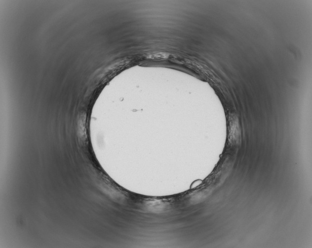 X0000112430616200909251538