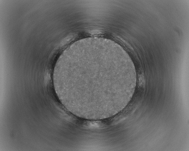 X0000112430618200909251538