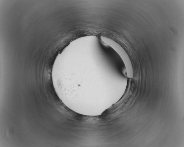X0000112430621200909251538