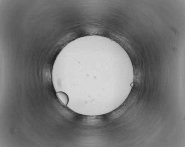 X0000112430622200909251538
