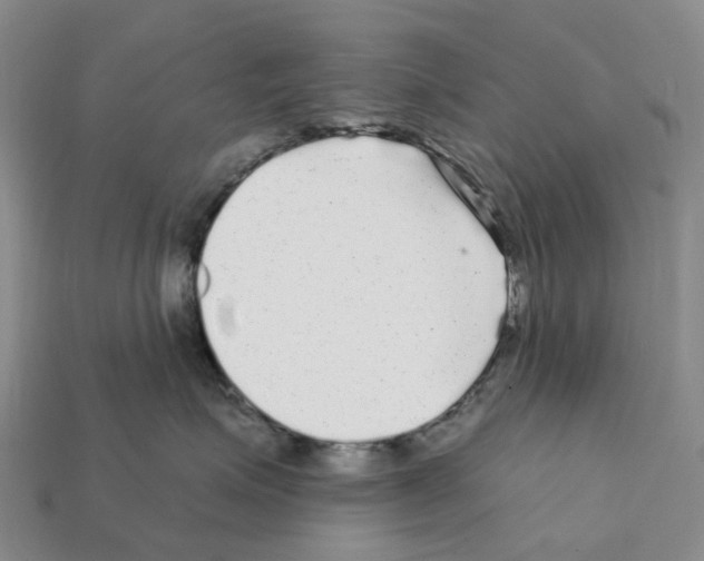X0000112430623200909251538