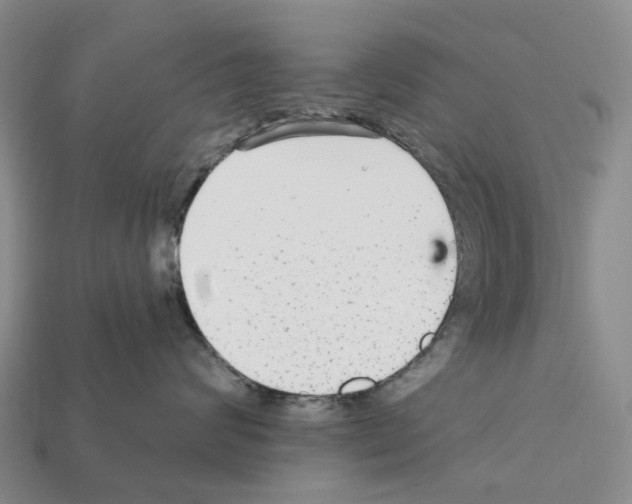 X0000112430624200909251538