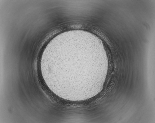 X0000112430626200909251537