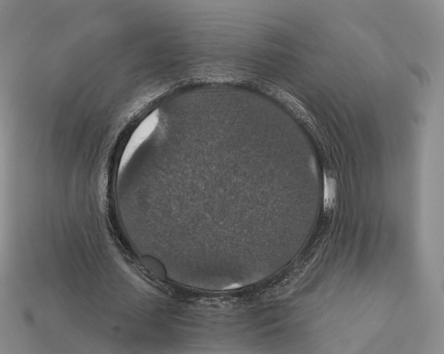X0000112430627200909251537