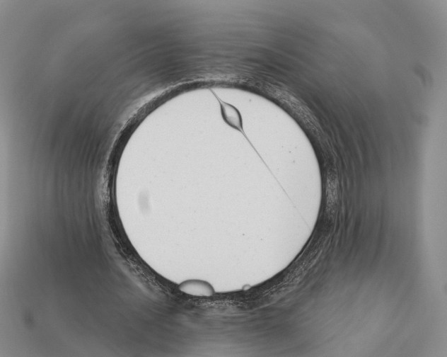 X0000112430628200909251537