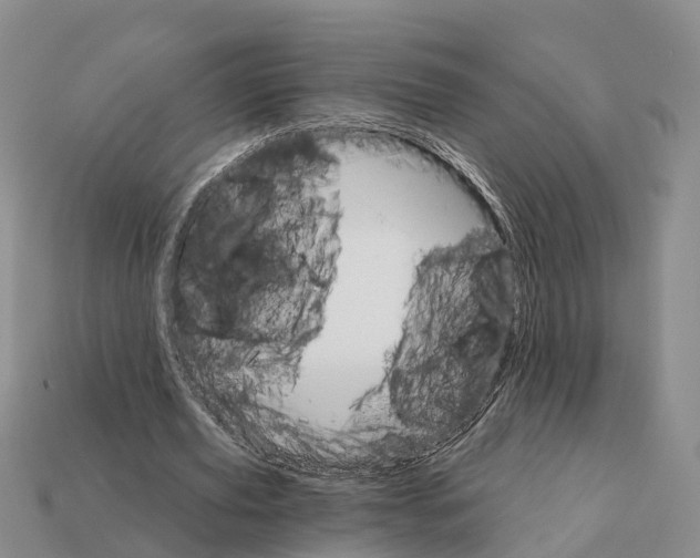 X0000112430629200909251537