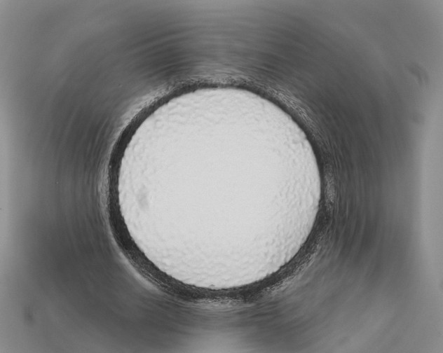 X0000112430630200909251537