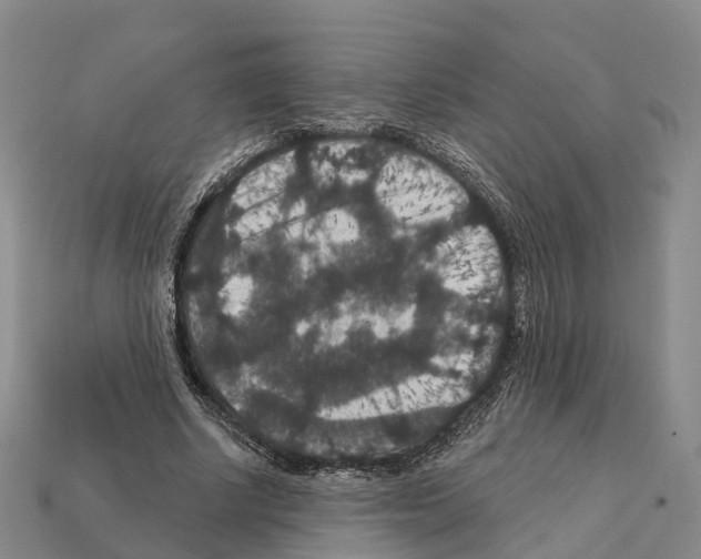 X0000112430634200909251537