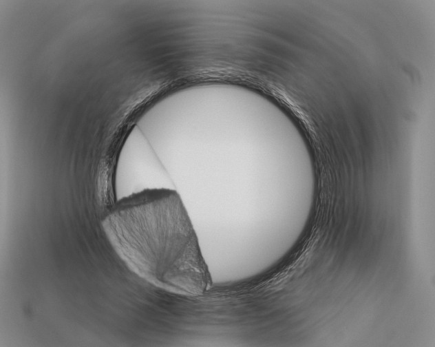 X0000112430637200909251537