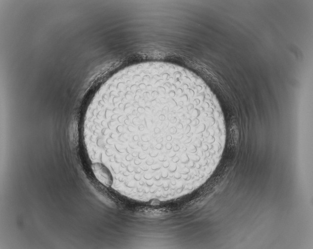 X0000112430638200909251537