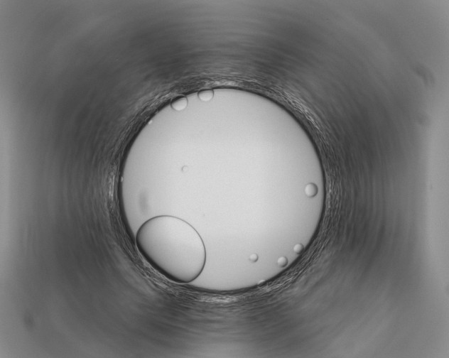 X0000112430639200909251537