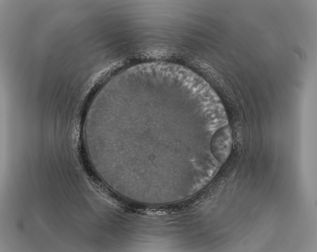 X0000112430640200909251537