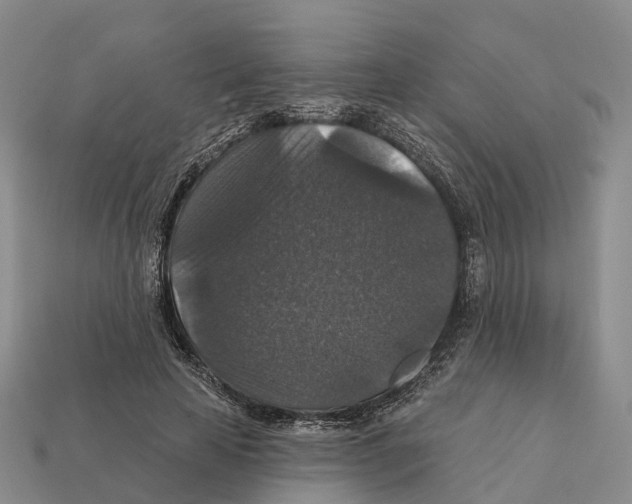 X0000112430641200909251537