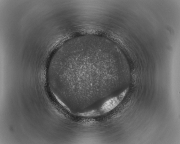 X0000112430642200909251537