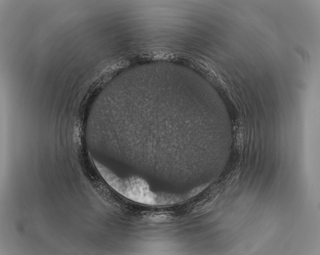 X0000112430643200909251537