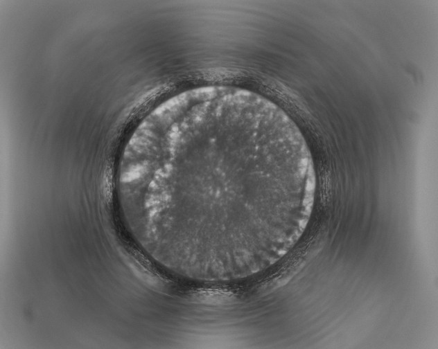 X0000112430644200909251537