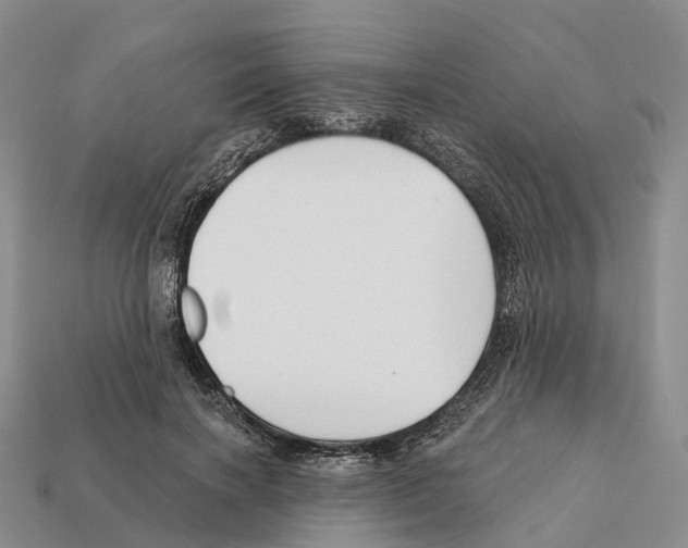 X0000112430646200909251538