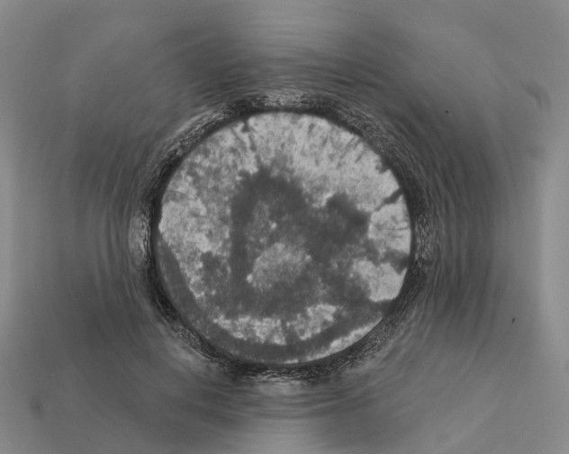 X0000112430648200909251538