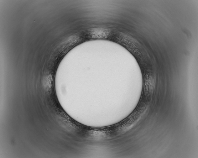 X0000112430649200909251538
