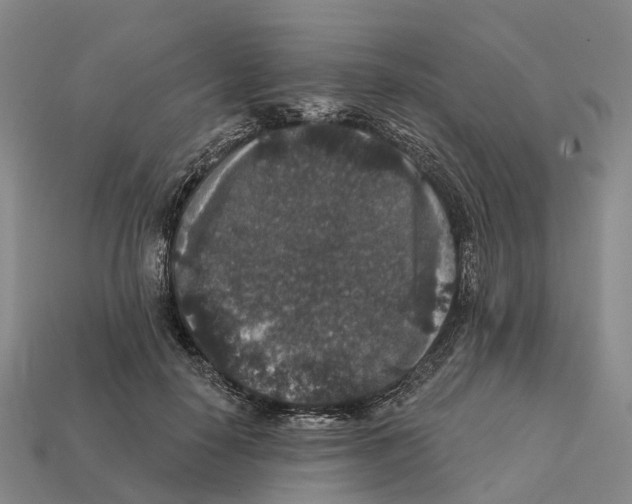X0000112430650200909251538