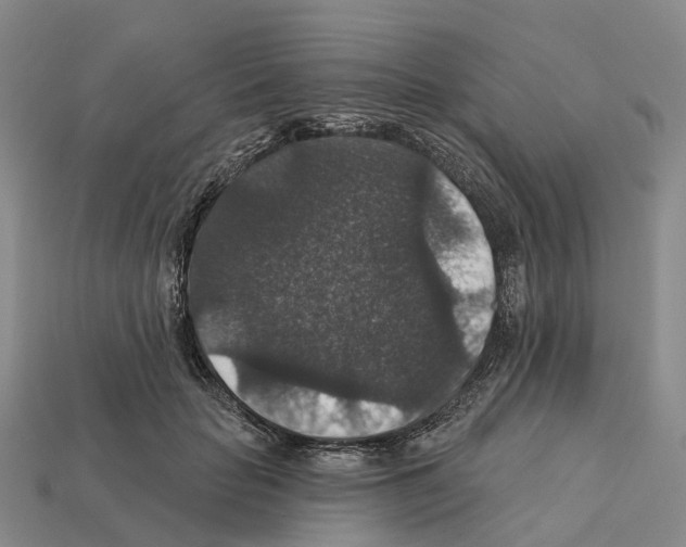 X0000112430653200909251538