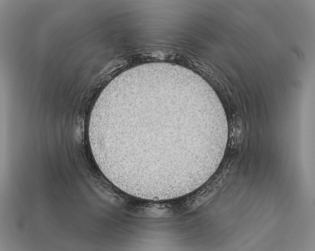 X0000112430656200909251538