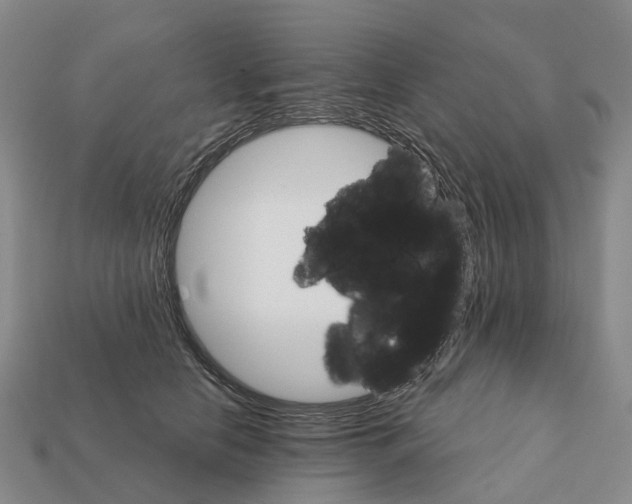 X0000112430658200909251538