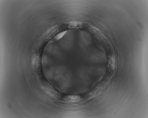 X0000112430659200909251538