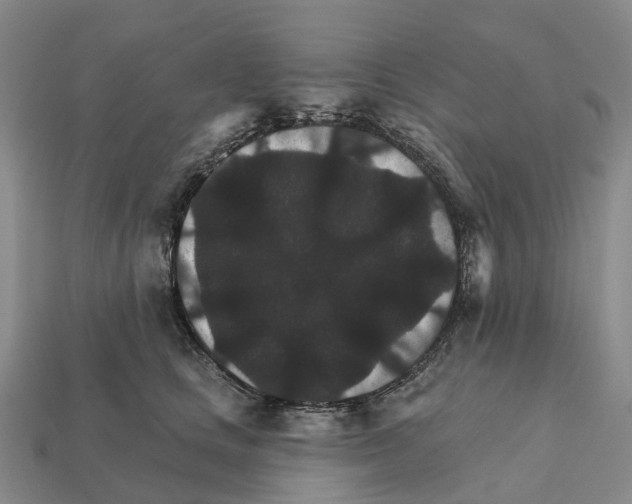 X0000112430661200909251538
