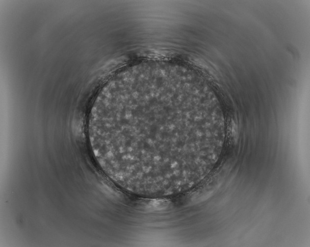 X0000112430663200909251538