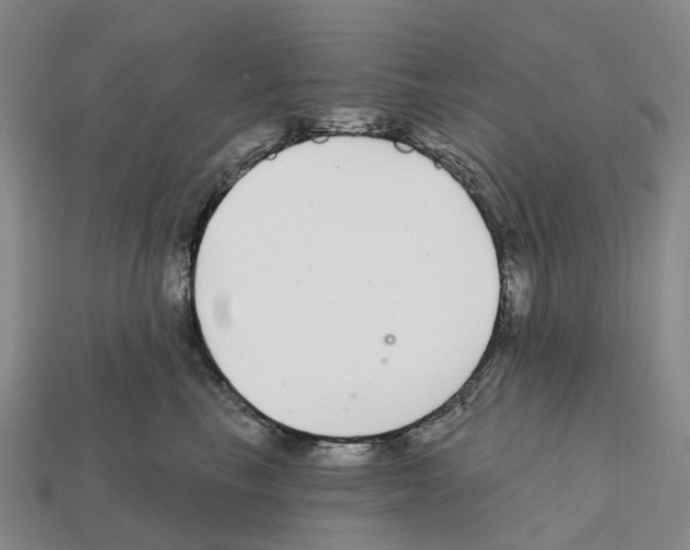 X0000112430665200909251538