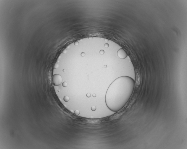 X0000112430666200909251538