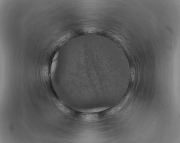 X0000112430670200909251538