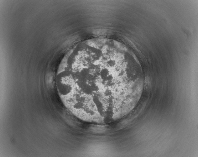 X0000112430671200909251538