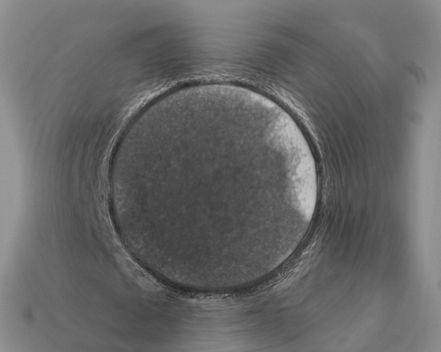X0000112430673200909251537