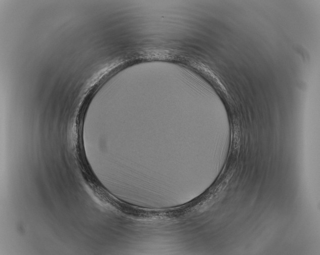 X0000112430674200909251537